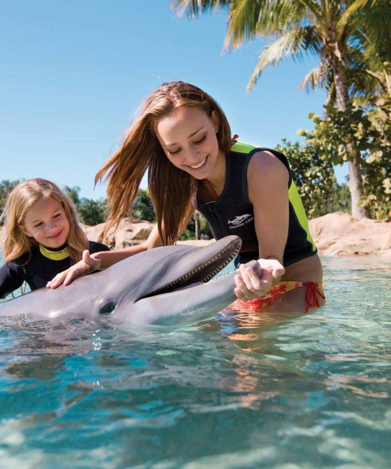 Discovery Cove