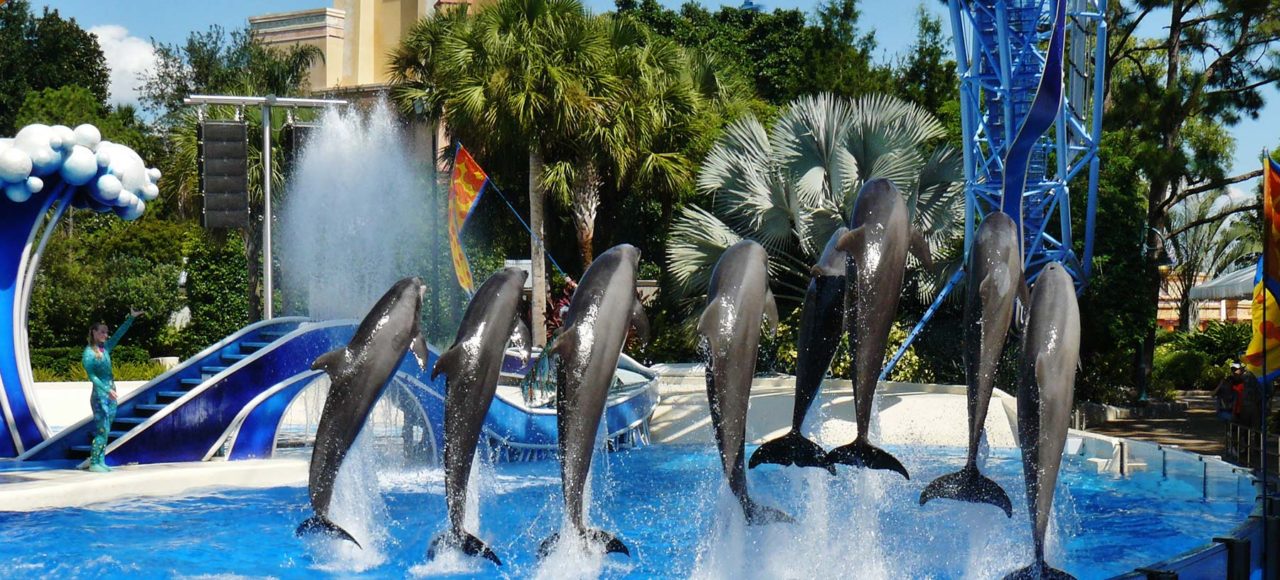 SeaWorld