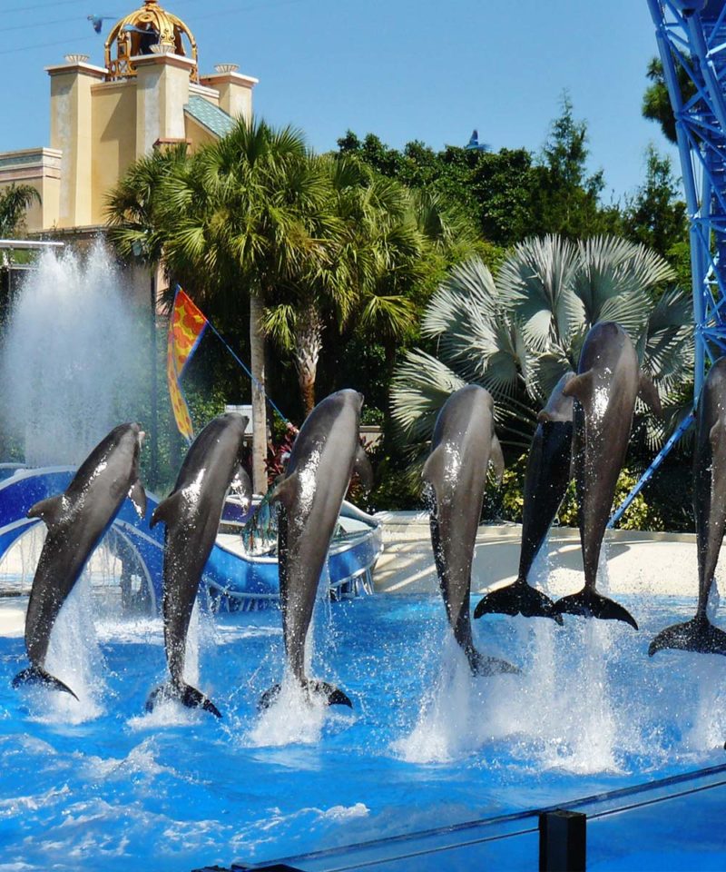 SeaWorld