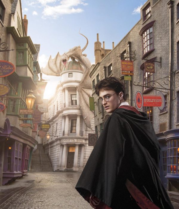 Wizarding World of Harry Potter
