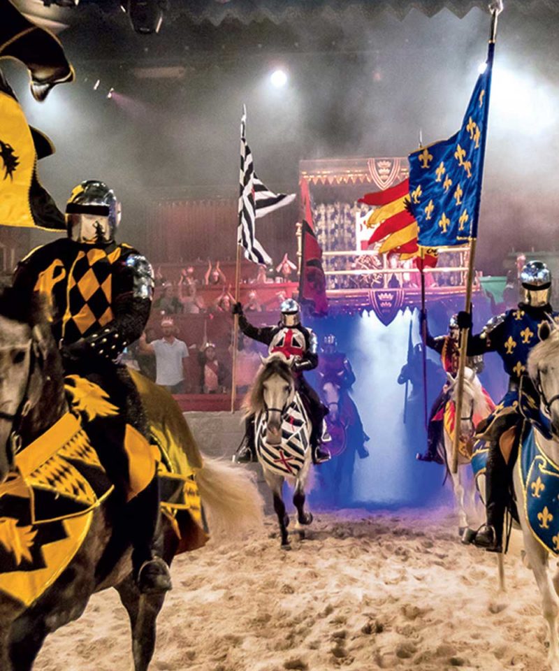 Medieval Times Dinner and Tournament