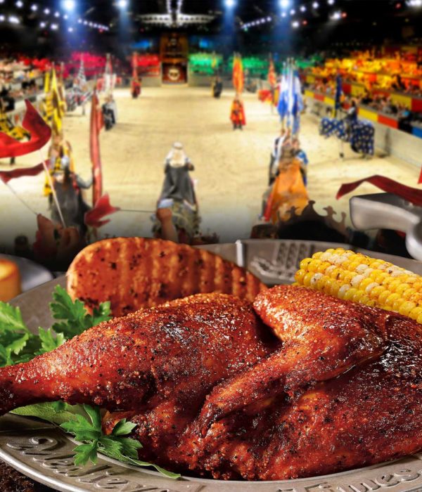 Medieval Times Dinner and Tournament