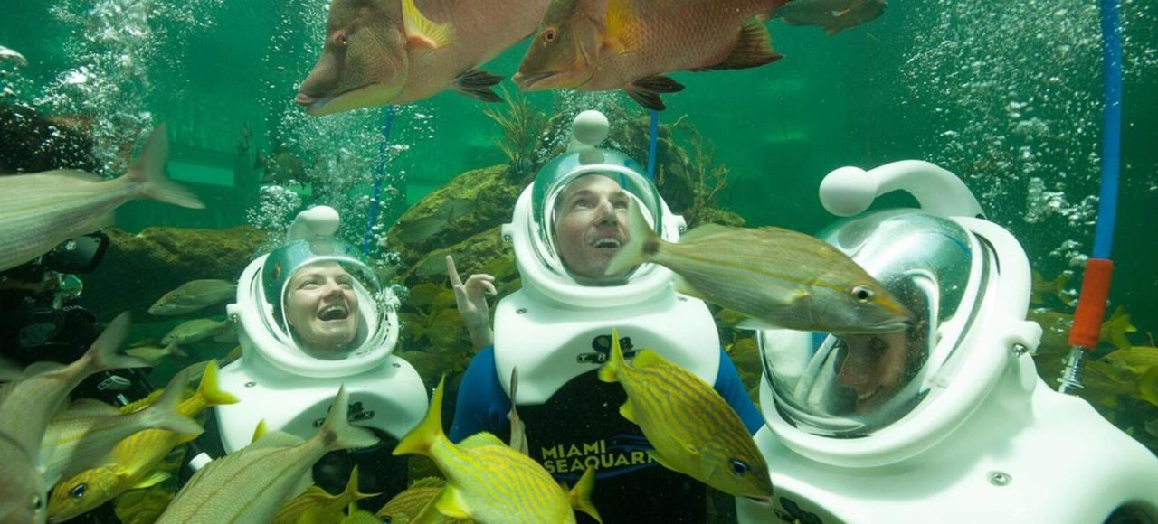 Miami Seaquarium