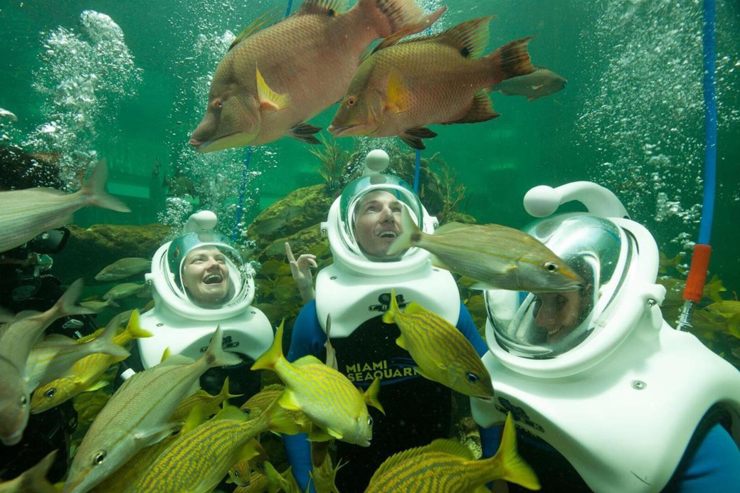 Miami Seaquarium