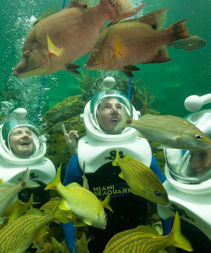 Miami Seaquarium