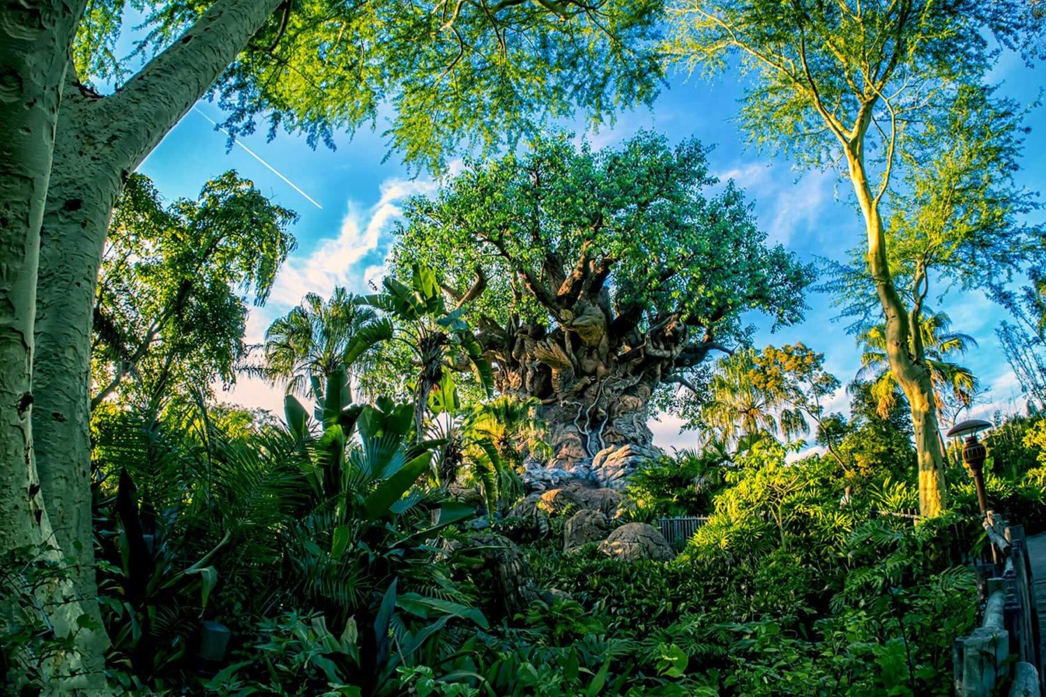 Animal kingdom