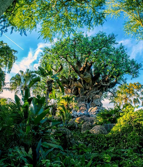 Animal kingdom