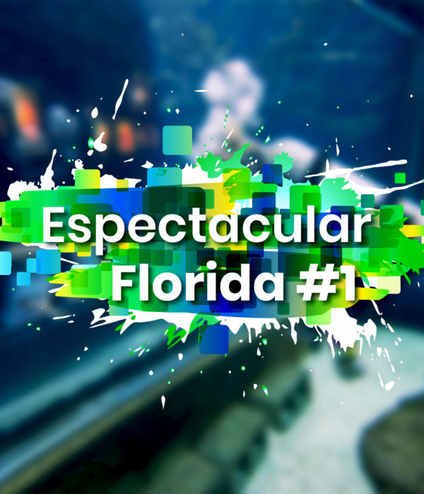 Espectacular Florida #1