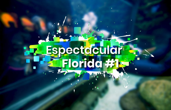 Espectacular Florida #1