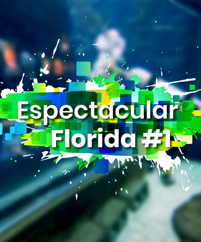 Espectacular Florida #1