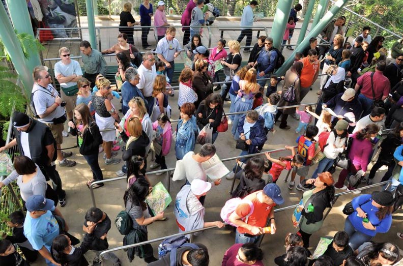 Orlando Queue
