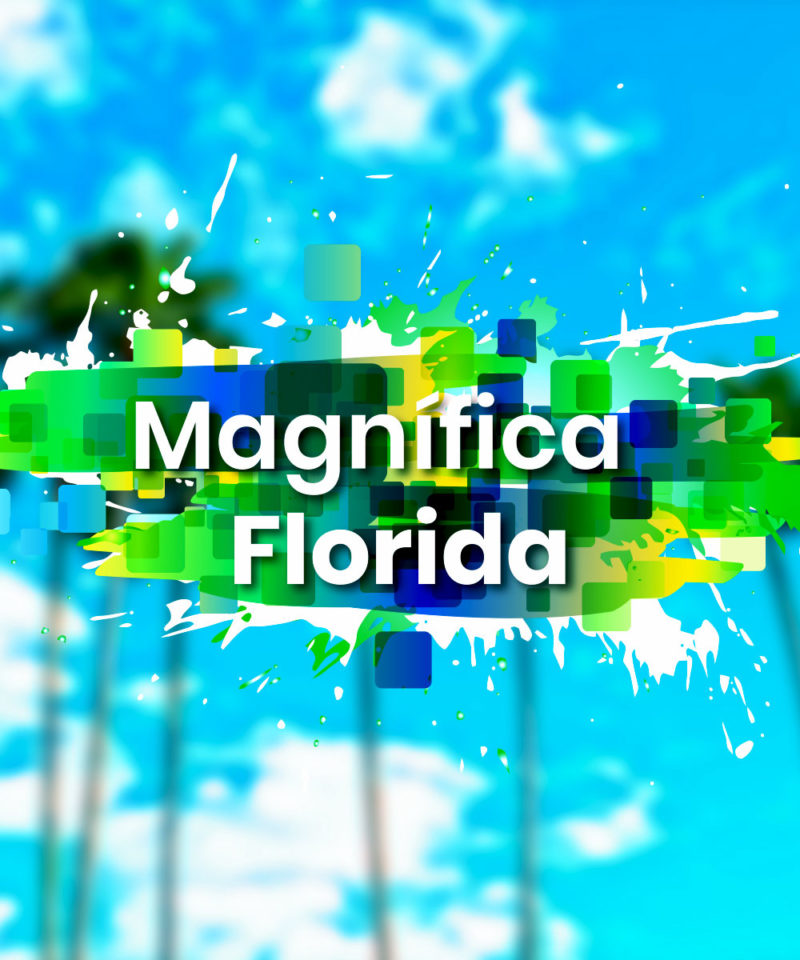 Magnífica Florida