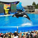 seaworld