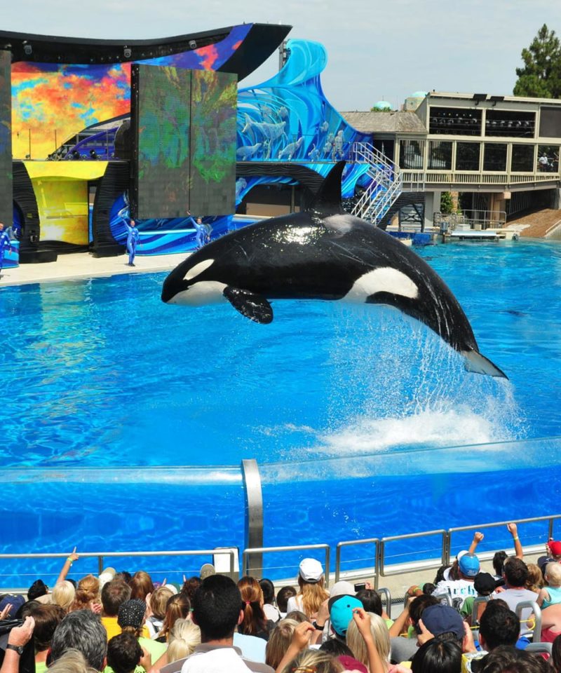 seaworld